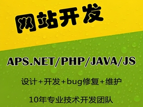 网站开发与设计